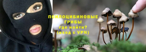 тгк Верхний Тагил