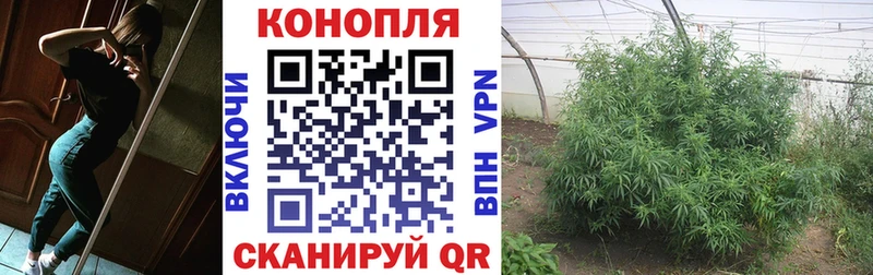 хочу   Чусовой  Каннабис SATIVA & INDICA 